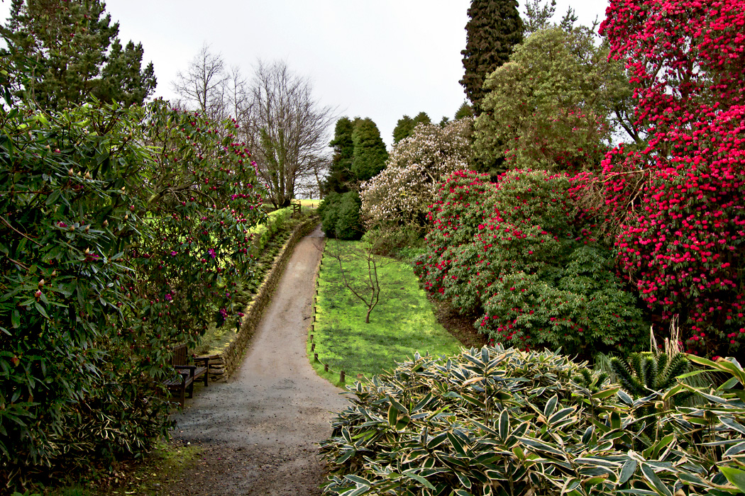 Сад в англии с ядовитыми растениями фото